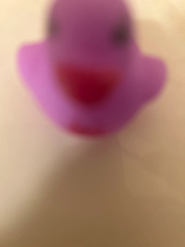 Purple rubber duck 3