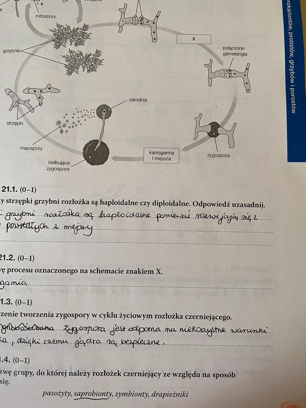 Biologia Nowa Era Klasa 5 Biologia na czasie maturalne karty pracy nowa era biologia rozszerzona
