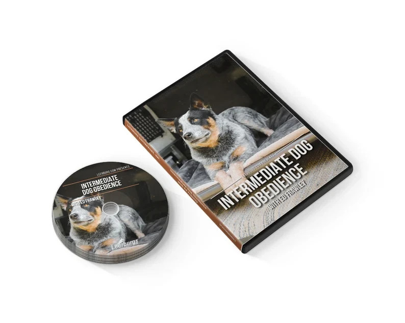 Leerburg's Intermediate Dog Obedience DVD