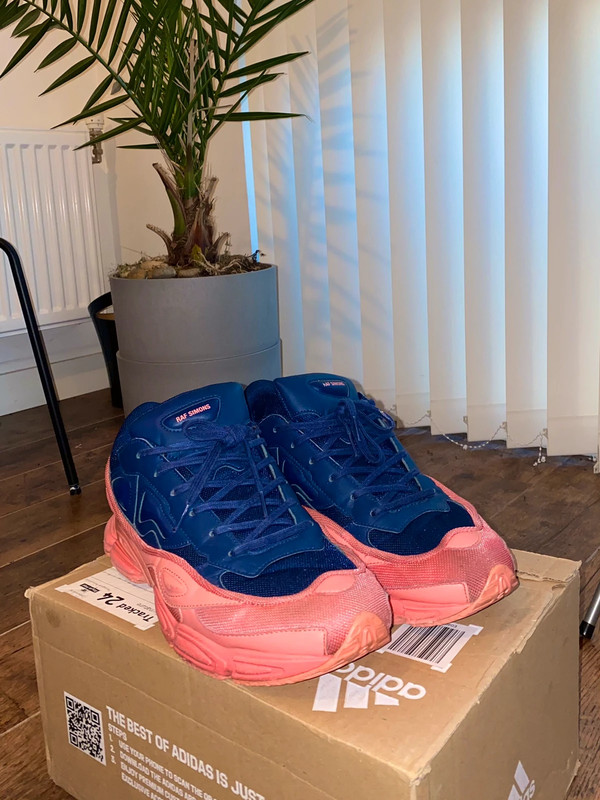 Adidas Ozweego RAF Simons