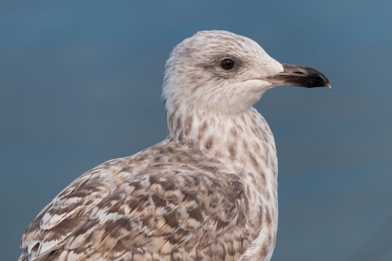 Jupe longue motifs feuilles Vinted