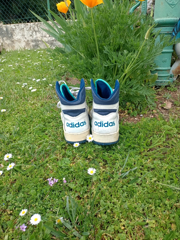 Adidas vintage montante shop