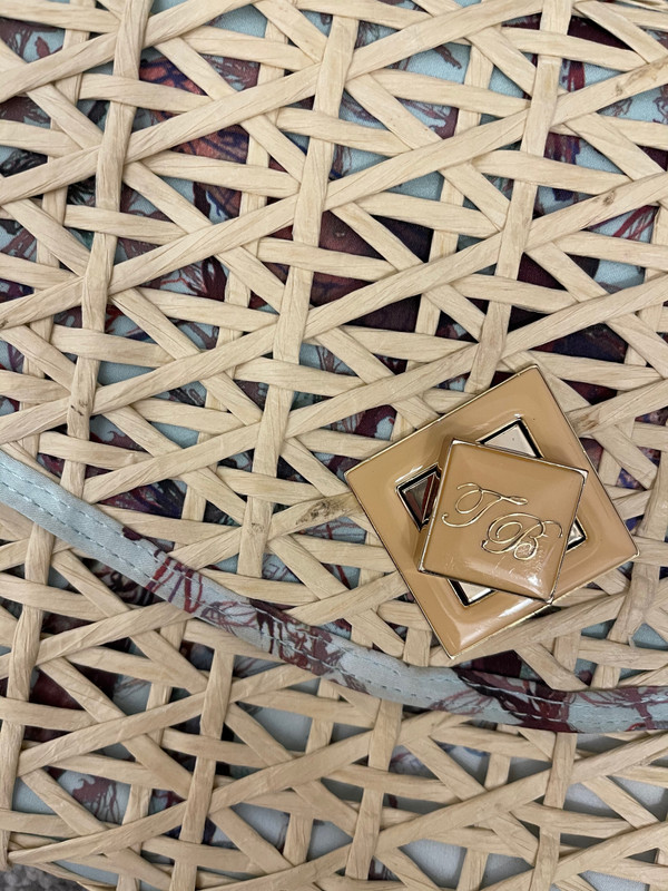 Ted Baker Dragonfly Print Clutch Bag Vinted