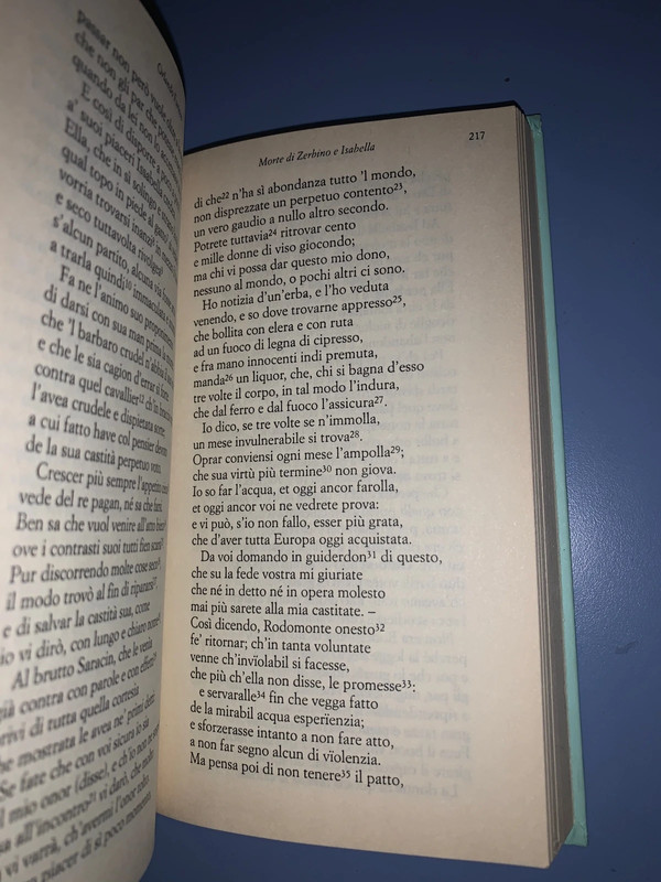 Orlando furioso di Ludovico Ariosto - Italo Calvino 4