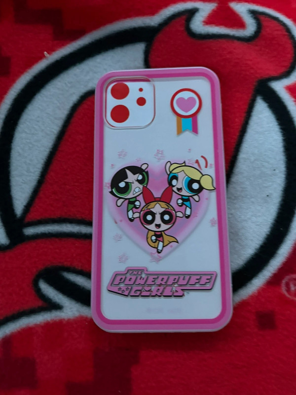 Ppg iPhone 12 case