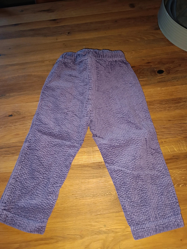 Pantalon velours 1