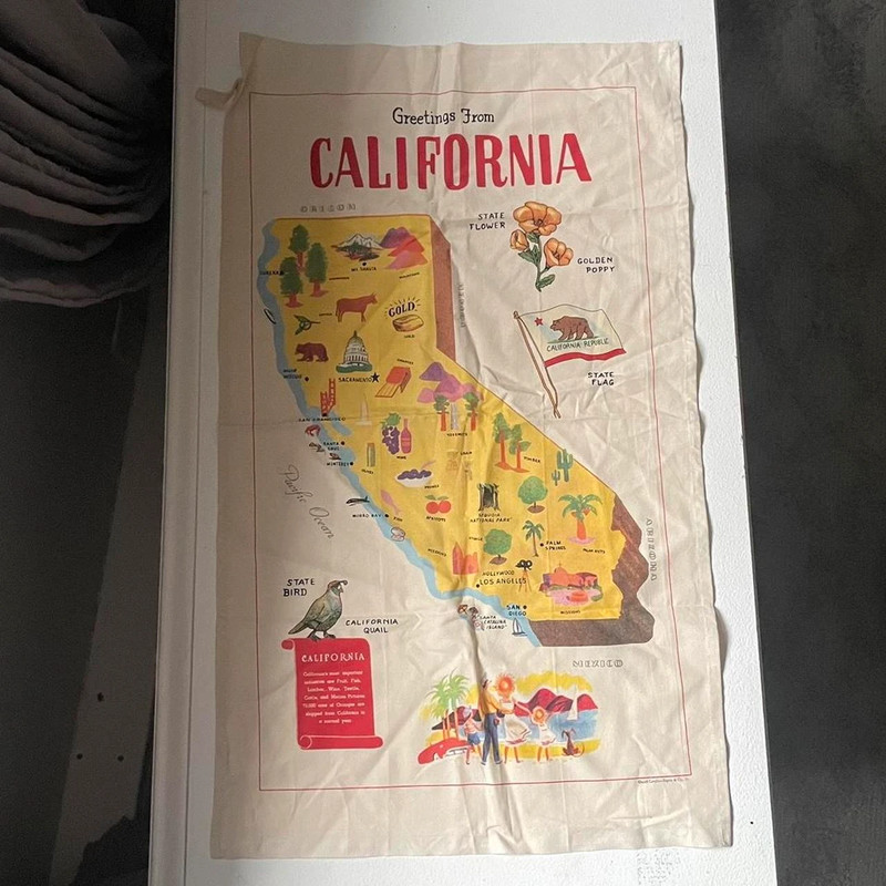 california map tapestry from pacsun 1