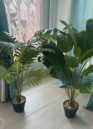 2pcs Artificial Palm and Banana Plant, brand: OFFICE, condition: New, £10.99, £12.24 includes Buyer Protection