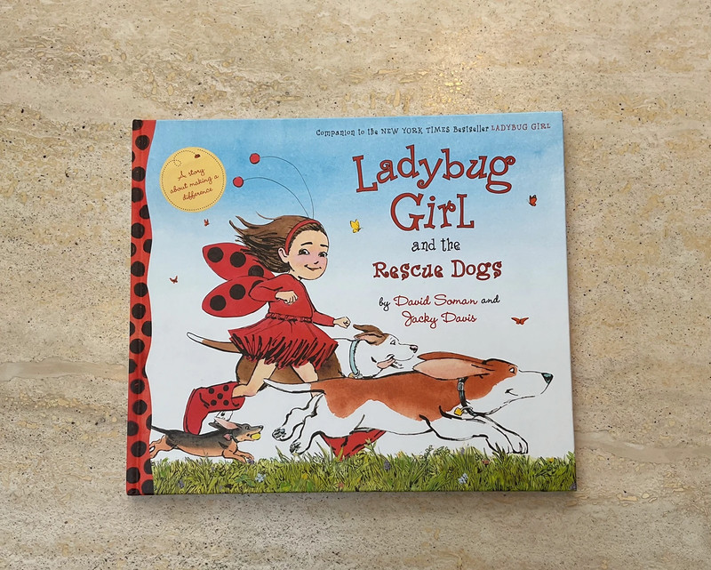 7. Ladybug Girl and the Magical Adventures by David Soman and Jacky Davis - wide 3