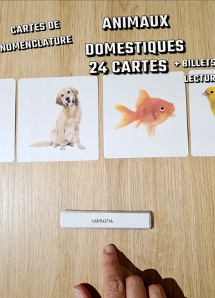 24 cartes de nomenclature animaux domestiques, condition: New with tags, size: 5 years / 110 cm, €14.47, €15.89 includes Buyer Protection Pro