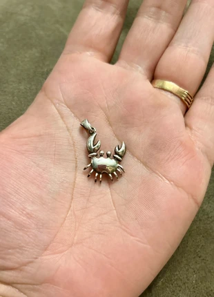 Pendentif crabe en argent massif, merk: Argent, staat: Heel goed, € 22,95, € 24,80 inclusief Kopersbescherming Pro