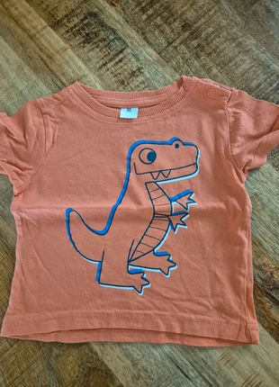 Tshirt dino maat 80, staat: Heel goed, maat: 12-18 maanden / 80 cm, € 1,00, € 1,75 inclusief Kopersbescherming