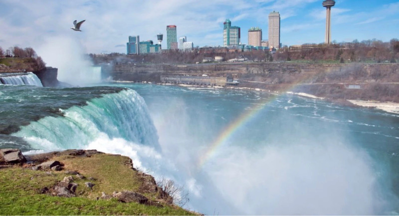 Φωτογραφία προφίλ του χρήστη niagarafalls123