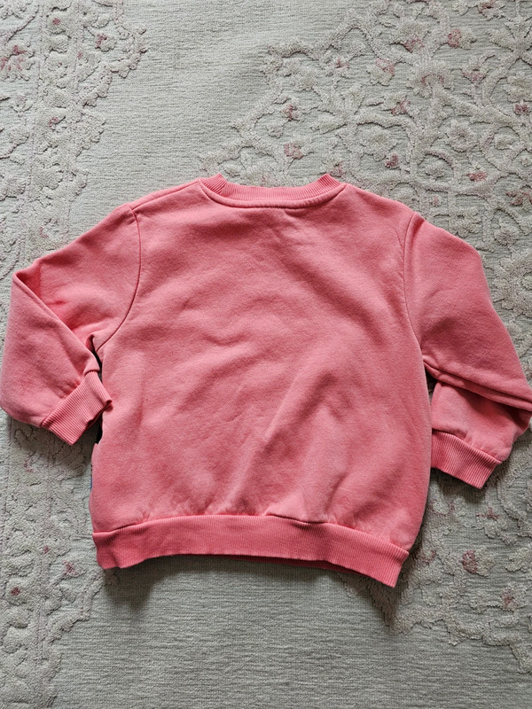 Pink Disney Friends sweatshirt 3