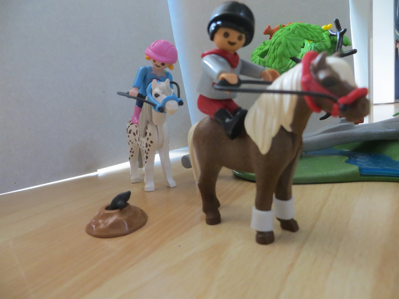 PLAYMOBIL 6947 Country - Cavaliers Avec Poneys Et Cheval 