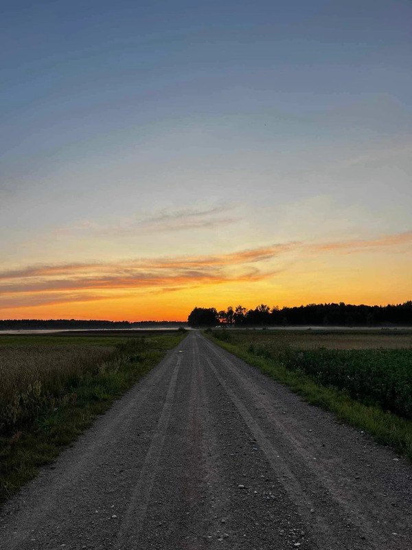 Profilbild av gabijakaminskyte