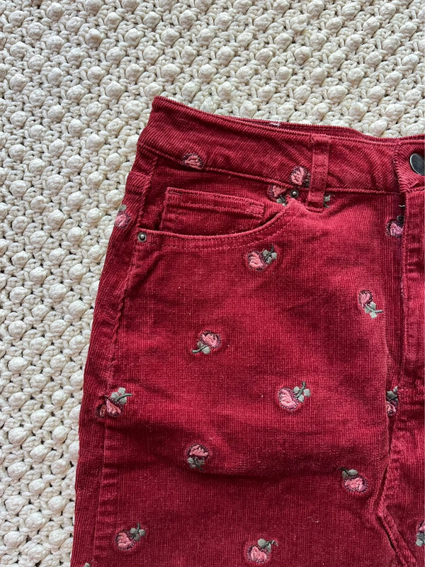 Embroidered Corduroy Skirt 2