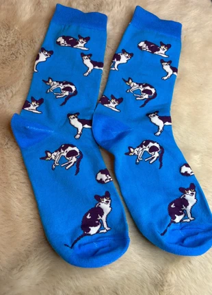 Chaussettes bleues chats, marca: pas de marque, estado: Nuevo sin etiquetas, tamaño: S | 35–38, 2,50 €, 3,33 € Protección al comprador Pro incluida