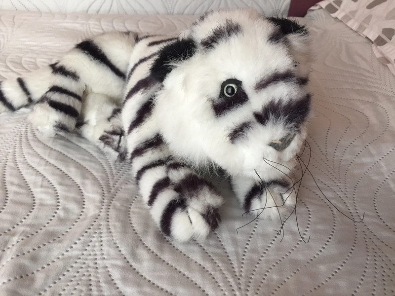 Peluche tigre bianca Vinted