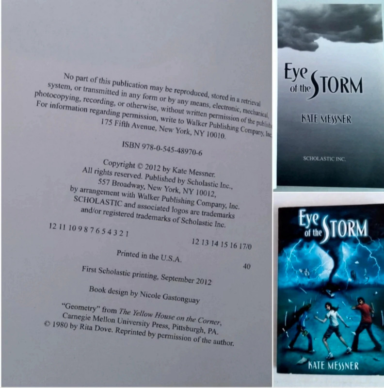 Eye Of The Storm By Kate Messner paperback (New) 5