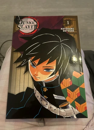 Livre Damon Slayer, état: Neuf sans étiquette, 15,00 €, 16,45 € Protection acheteurs incluse