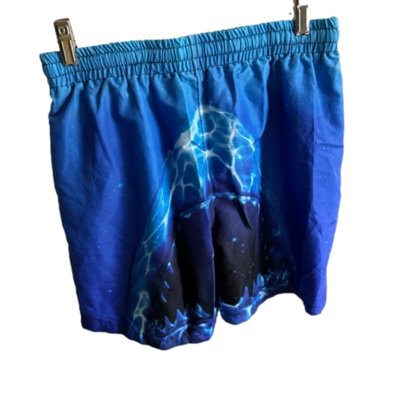 Swim Trunks 2