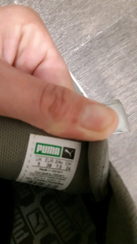 Puma kaki sales noeud