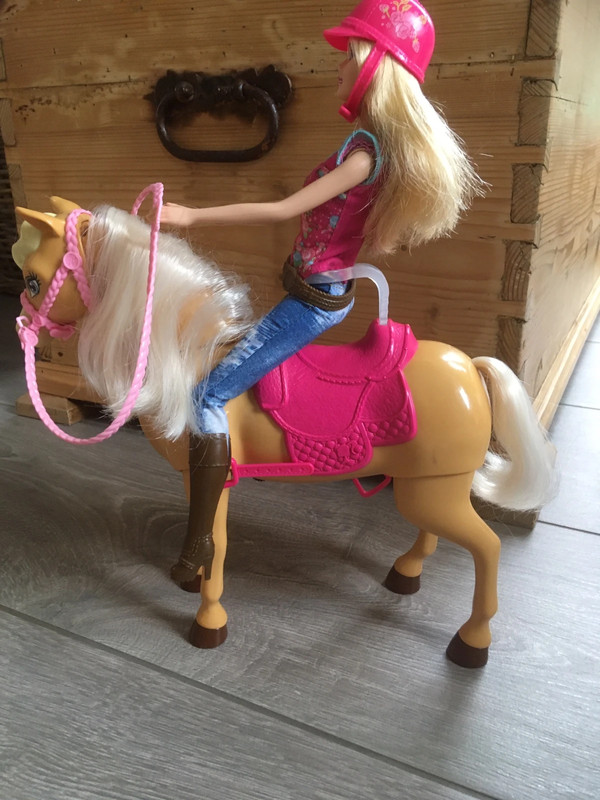 Barbie en paard -