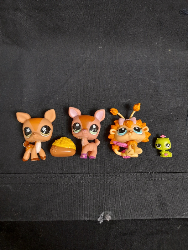 Littlest pet deals shop g2