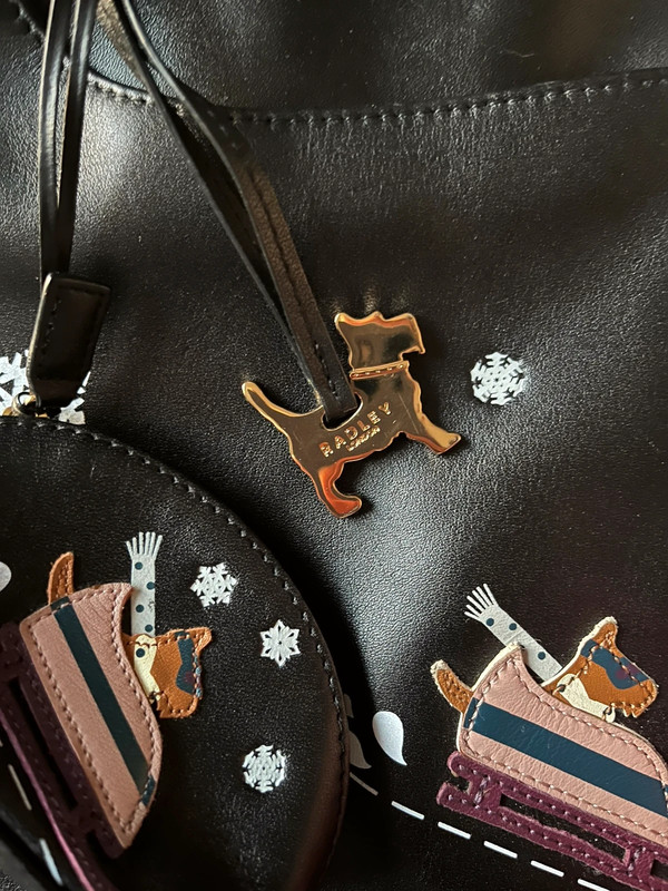 Radley dinosaur bag Outlet