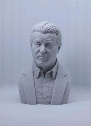 3D printed Dwight Manfredi bust, merk: geen merk, staat: Heel goed, € 8,00, € 9,10 inclusief Kopersbescherming Pro