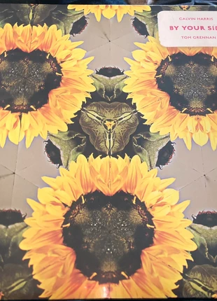 Calvin Harris Ft. Tom Grennan - By Your Side LP new / sealed, estado: Novo com etiquetas, €20.00, €21.70 inclui Proteção do Comprador