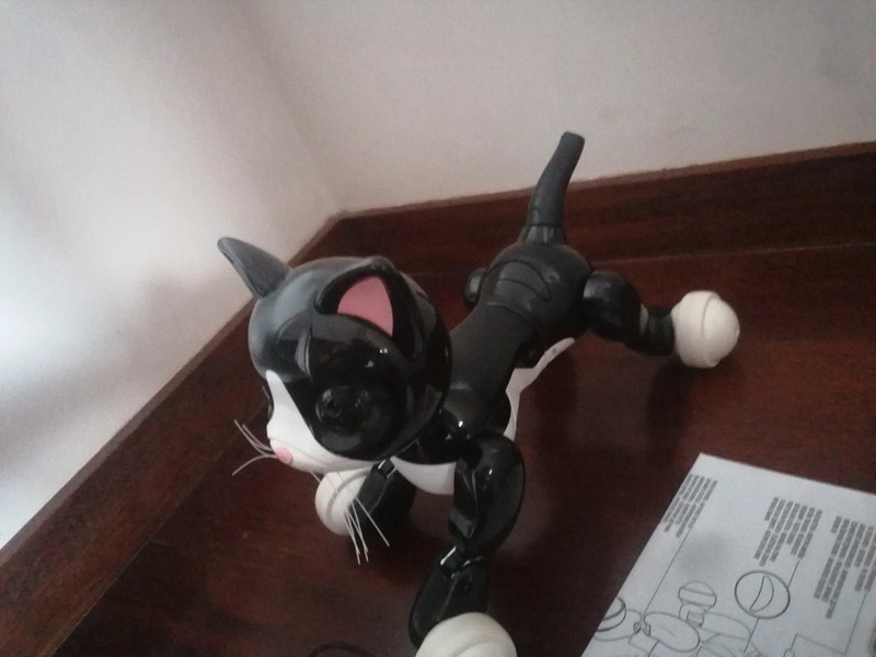 Zoomer top kitty target