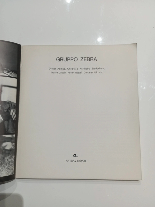 Gruppo Zebra 3