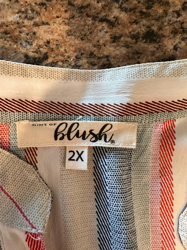 Hint of Blush Plus Size Tunic 3