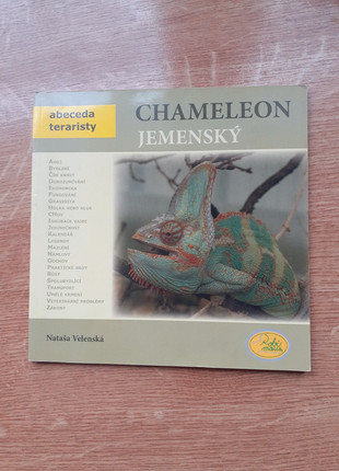 Obrázek k inzerátu: Chameleon jemenský