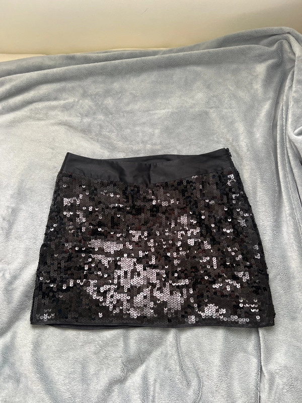 Express mini skirt 1