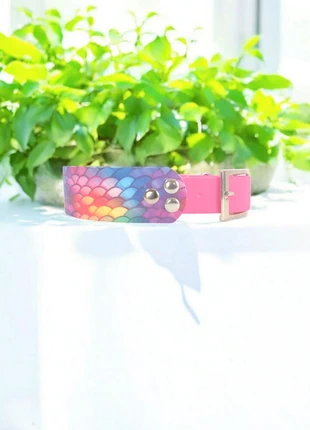 Collier pour chien en biothane, staat: Heel goed, maat: Overige, € 18,00, € 19,60 inclusief Kopersbescherming Pro