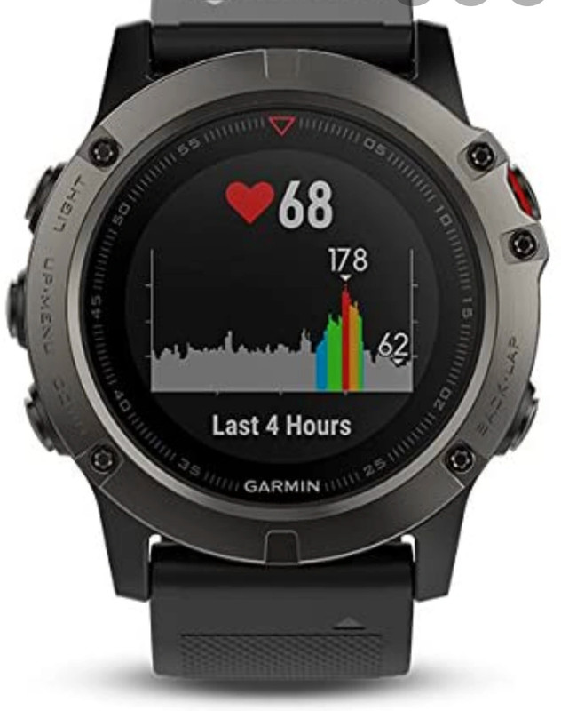 Montre garmin fenix 5x verre saphir Vinted