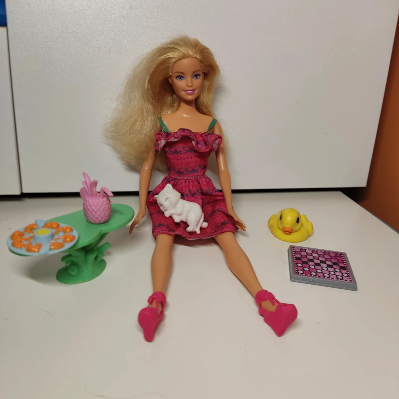 Barbie con gato Vinted