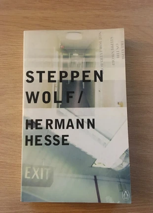 Hermann Hesse - Steppenwolf, état: Neuf sans étiquette, 6,00 €, 7,00 € Protection acheteurs incluse