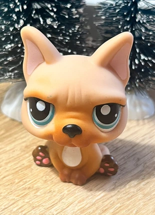 LPS #1847 French Bulldog, merk: Littlest Pet Shop, staat: Heel goed, maat: Universeel, € 6,50, € 7,53 inclusief Kopersbescherming
