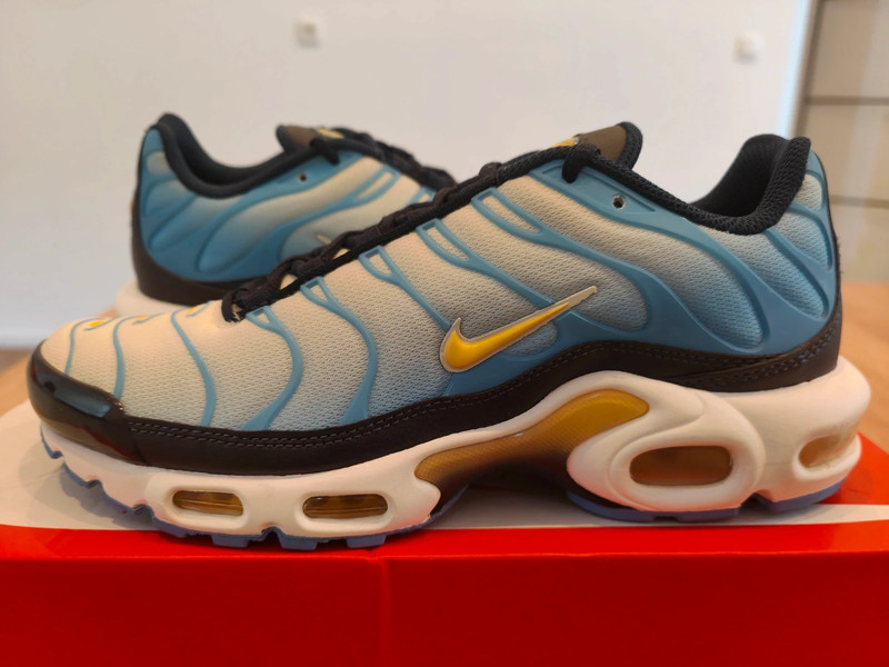 Nike air Max plus TN taille 40