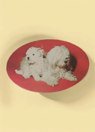 Boite en fer ovale rouge illustration chien bichon - Confiserie Louis Clauss Paris vintage, marque: Vintage, état: Très bon état, 15,00 €, 16,45 € Protection acheteurs incluse