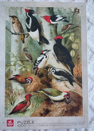 Puzzle 1000 oiseaux, marque: Delco games, état: Très bon état, 9,00 €, 10,15 € Protection acheteurs incluse