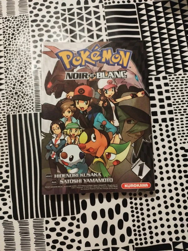 Pokemon noir et blanc 1