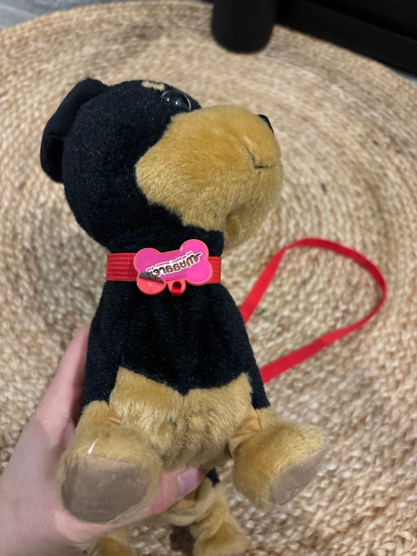 Animagic chien waggles en balade - photo numéro 4