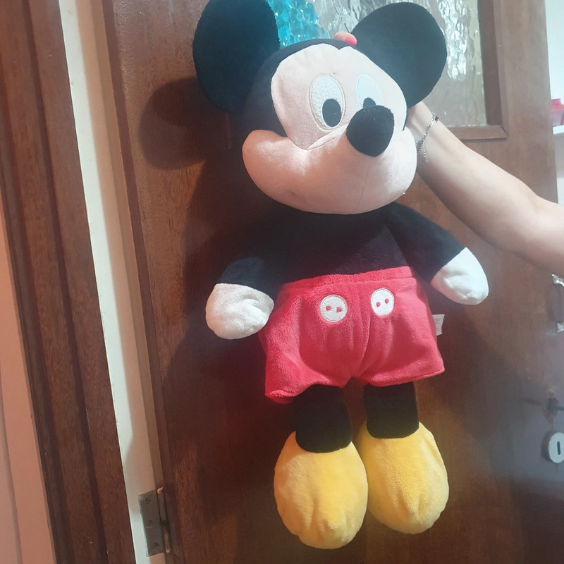 Mickey 1