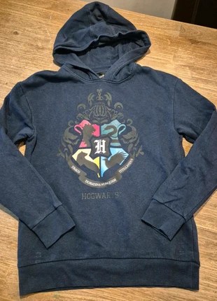 Trui van harry potter, merk: Harry Potter, staat: Heel goed, maat: 11 jaar / 146 cm, € 2,50, € 3,33 inclusief Kopersbescherming