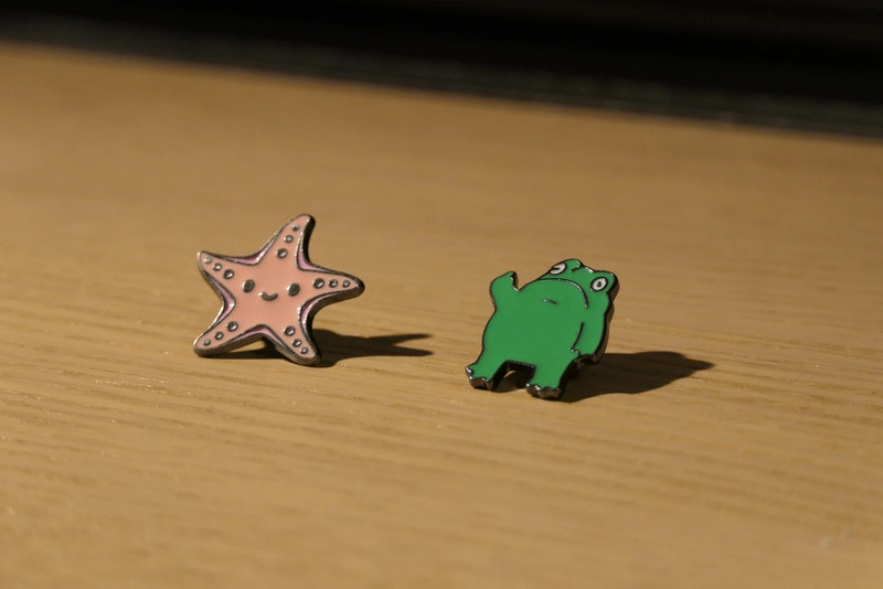 Pins Sapo e Estrela 1